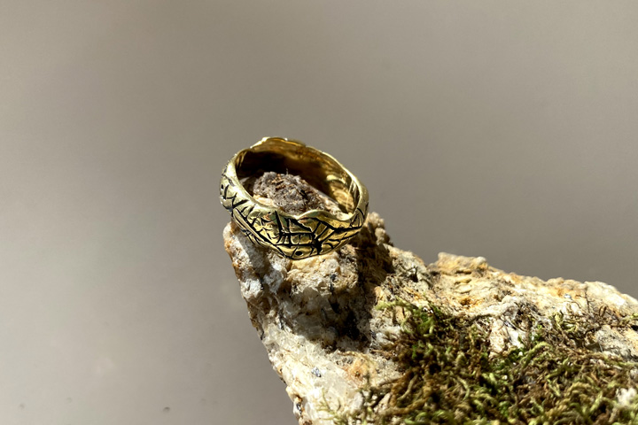 Кольцо «древняя змея» из бронзы - сертификат