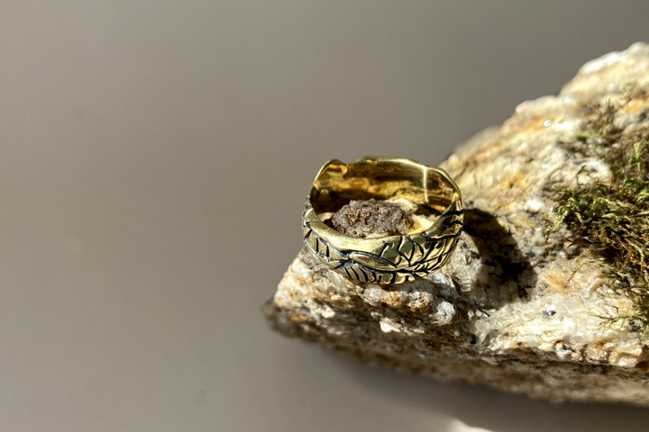 Кольцо «древняя змея» из бронзы - сертификат