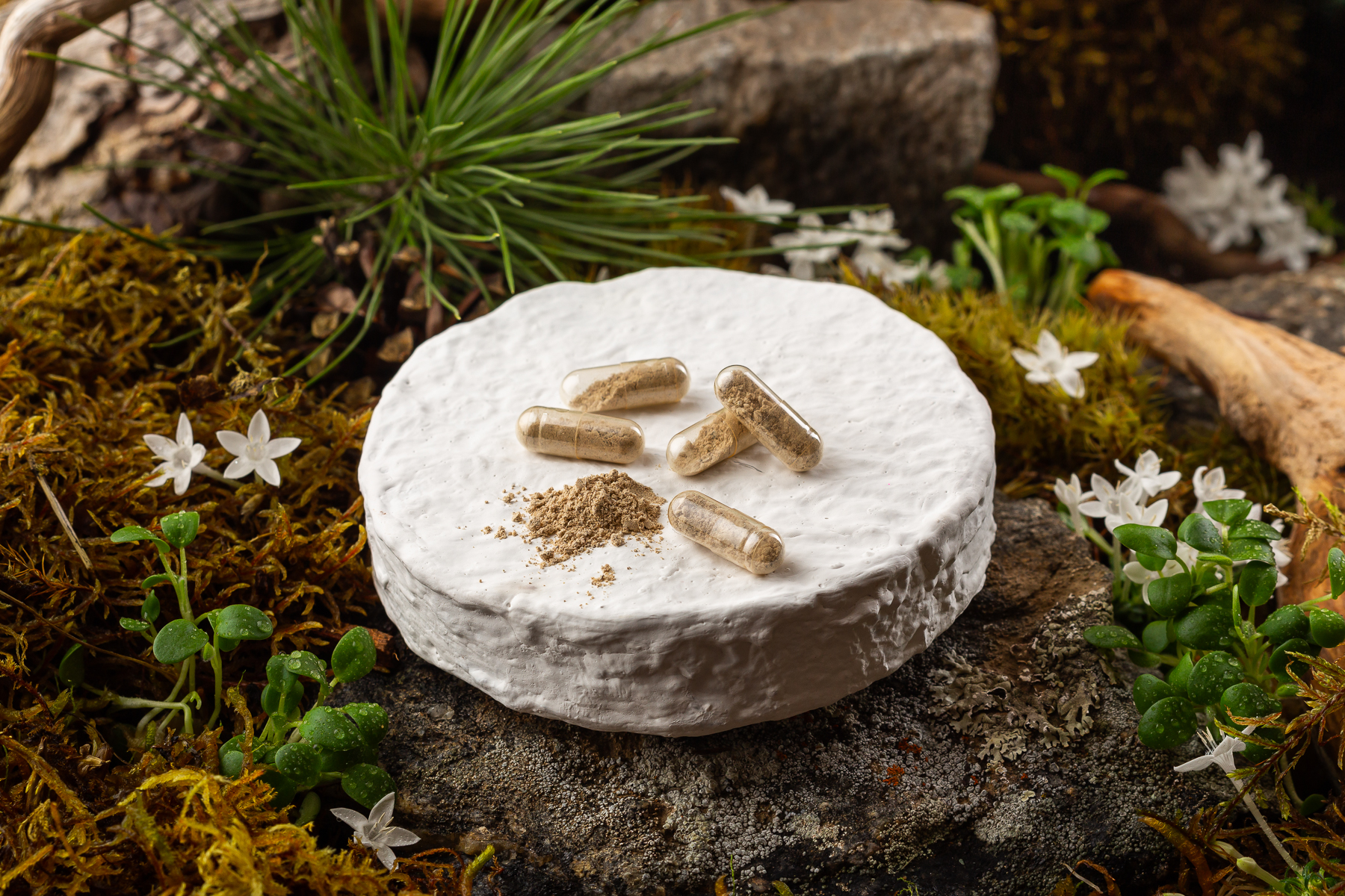 Онкощит – капсулы - Капсулированная продукция