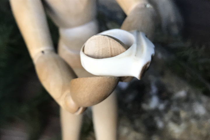 Кольцо из рога "Печать тайги" - Кольца