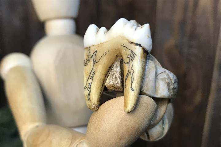 Кольцо из рога с зубом медведя  "Древняя мудрость" - Кольца