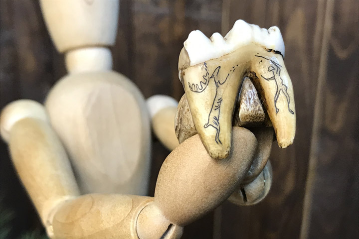 Кольцо из рога с зубом медведя  "Древняя мудрость" | Таёжная лавка Тамга