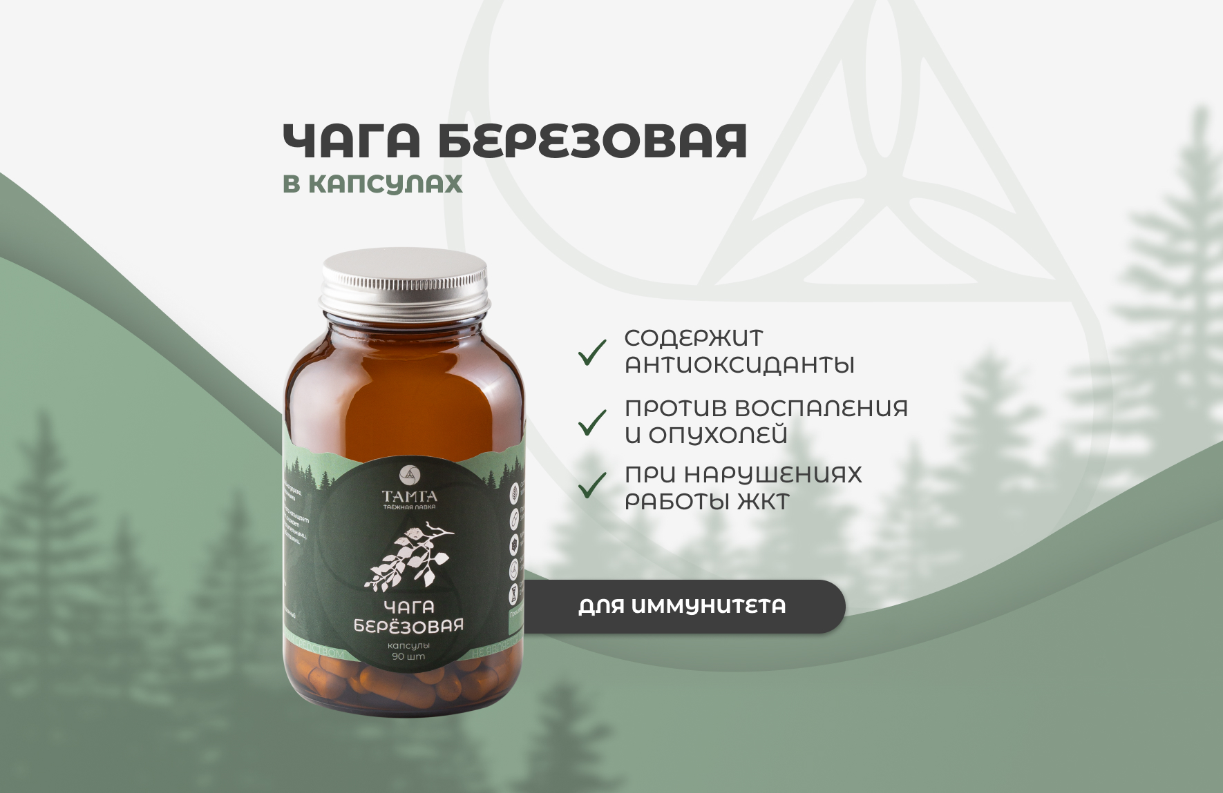 Чага березовая - капсулы | Таёжная лавка Тамга