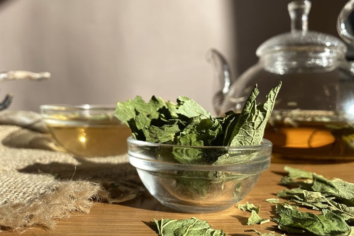 Лекарственные травы для травяного чая: листья смородины | Тамга — таёжная лавка