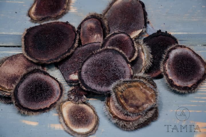 Сушеные панты изюбра | Таёжная лавка «Тамга»