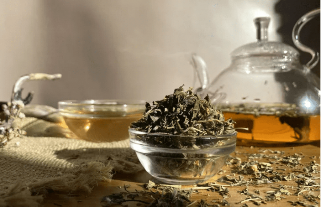Курильский чай для лечения эндокринных заболеваний | Тамга — таёжная лавка