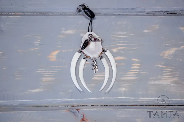 Ожерелье из клыка кабарги с копытцем | Таёжная лавка Тамга